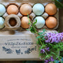 Wild Feather Farm Floral Chicken Egg Carton Stamp