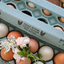 'Please Return Carton' Egg Carton Stamp