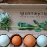 Please Recycle Clean Cartons For Refills Egg Carton Stamp