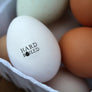 Hard Boiled Egg Stamp