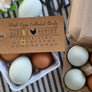 Fresh Eggs Collected On Date Stamp