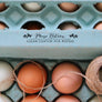 'Please Return Carton' Rubber Stamp