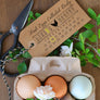 Fresh Eggs Collected On Date Stamp