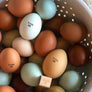 Wash Me Egg Stamp