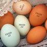 Fresh AF Egg Stamp