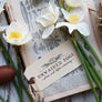 Unwashed Chicken or Duck Egg Carton Stamp