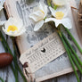 Fresh Eggs Collected On Date Stamp