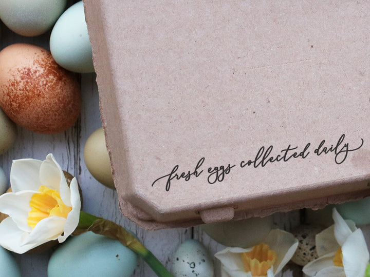 Fresh Eggs Collected Daily Egg Carton Rubber Stamp