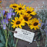 Fresh Cut Flowers Care Instructions Stamp