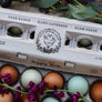 Floral Chicken Nest Rubber Stamp