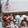 Farm Fresh Eggs Colored By Nature Rubber Stamp