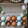 Farm Fresh Eggs Colored By Nature Rubber Stamp