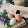 Farm Fresh Eggs - Unwashed Eggs Rubber Stamp for Egg Cartons