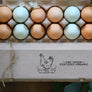 Chicken Egg Carton Stamp with Herbs Rubber Stamp