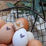 Farm Fresh Chicken Egg Rubber Stamp