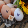 Farm Fresh Chicken Egg Rubber Stamp