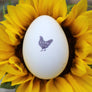 Farm Fresh Chicken Egg Rubber Stamp