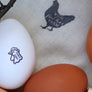 Fresh Chicken Eggs Stamp