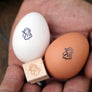 Fresh Chicken Eggs Stamp