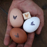 Farm Fresh Chicken Egg Rubber Stamp