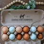 Horse and Chicken Rubber Stamp