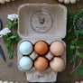 Circular Fresh Chicken Eggs Rubber Stamp