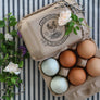 Floral Chicken Egg Stamp