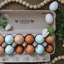 'Please Return Carton' Egg Carton Stamp