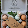 Chicken Egg Carton Stamp with Herbs Rubber Stamp