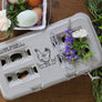 Chicken Egg Carton Stamp with Herbs Rubber Stamp
