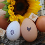 Fresh Chicken Eggs Stamp