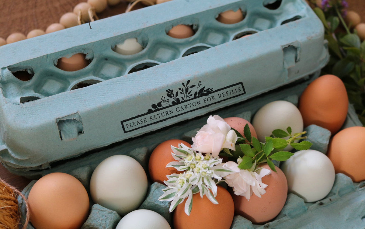 Personalized Multiple Sizes Chicken Silhouette Egg Stamp Farm Egg - View #9