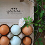 Follow the Flock Social Media Egg Carton Rubber Stamp