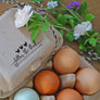 Follow the Flock Social Media Egg Carton Rubber Stamp