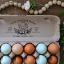 Chicken Nest Customizable Egg Carton Stamp