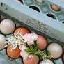 Fresh Chicken Eggs Carton Rubber Stamp