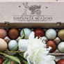 Chicken and Wheelbarrow Gardening Rubber Stamp