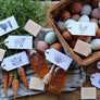 Support Your Local Farmer Rubber Stamp - Honey Bee Stamp