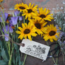 Flower Truck Customizable Rubber Stamp