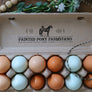 Horse and Chicken Rubber Stamp