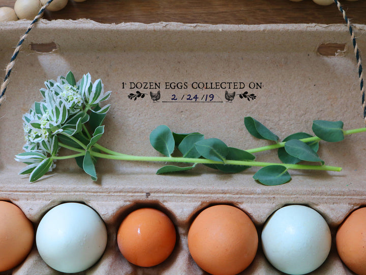 Farm Fresh Eggs with Chicken in Nesting Box Rubber Stamp – Wild Feather Farm
