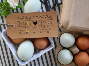 Fresh Eggs Collected On Date Stamp