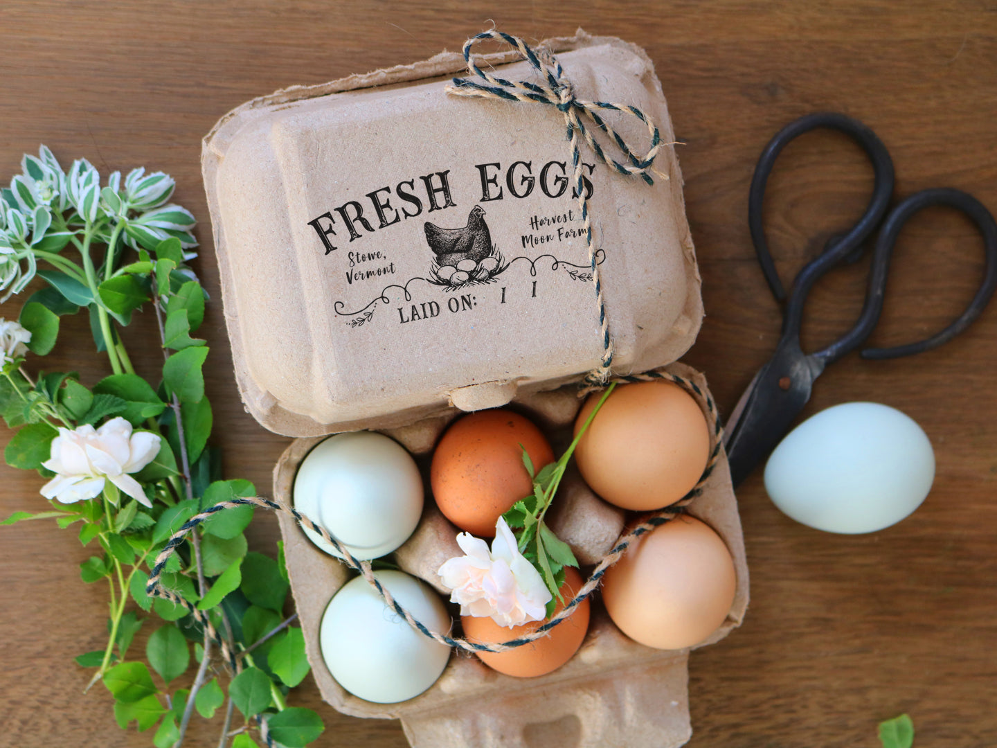 Egg Carton Rubber hot Stamp | 6x2 inch Goat + Chicken Hen + Chicks | Hand Drawn Farm Design Hatching Egg | Label Farmer’s Market Packaging | E12