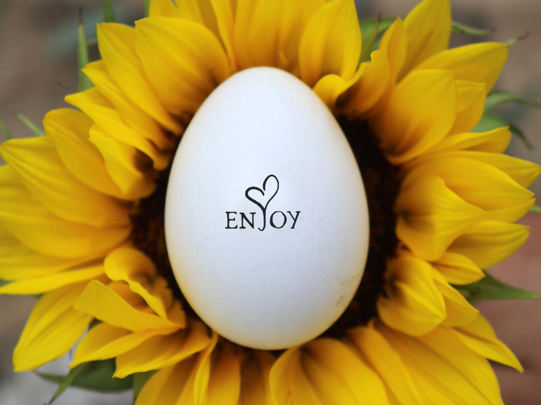 Enjoy Egg Stamp Wild Feather Farm