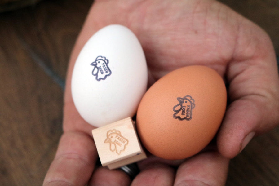 Fresh Chicken Eggs Stamp