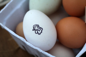 Fresh Chicken Eggs Stamp