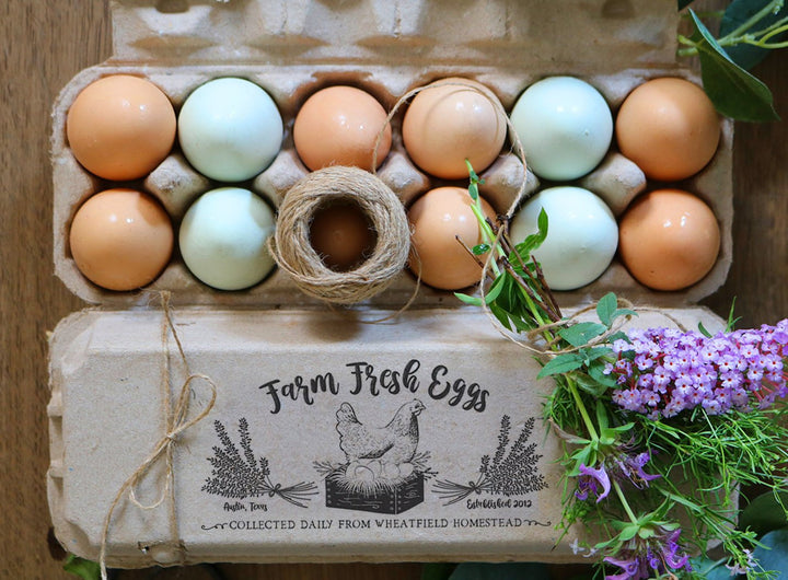 Lincia 2 Pcs Egg Carton Stamp Wooden Egg Box Stamp with Ink Pad Rubber  Stamp Chicken for Egg Carton Box Home Farm Supplies, 3.9 x 1.57 inches, 2